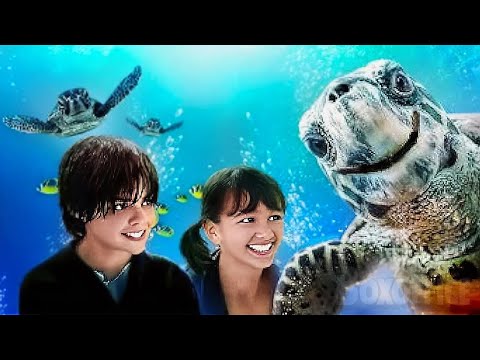 THE SEA ADVENTURE