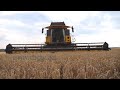 Украина предложила создать «зерновой опек»