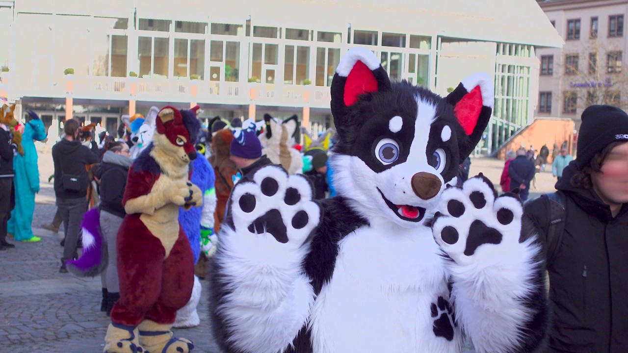Aschaffenburger Fursuit Walk 24 01 2026