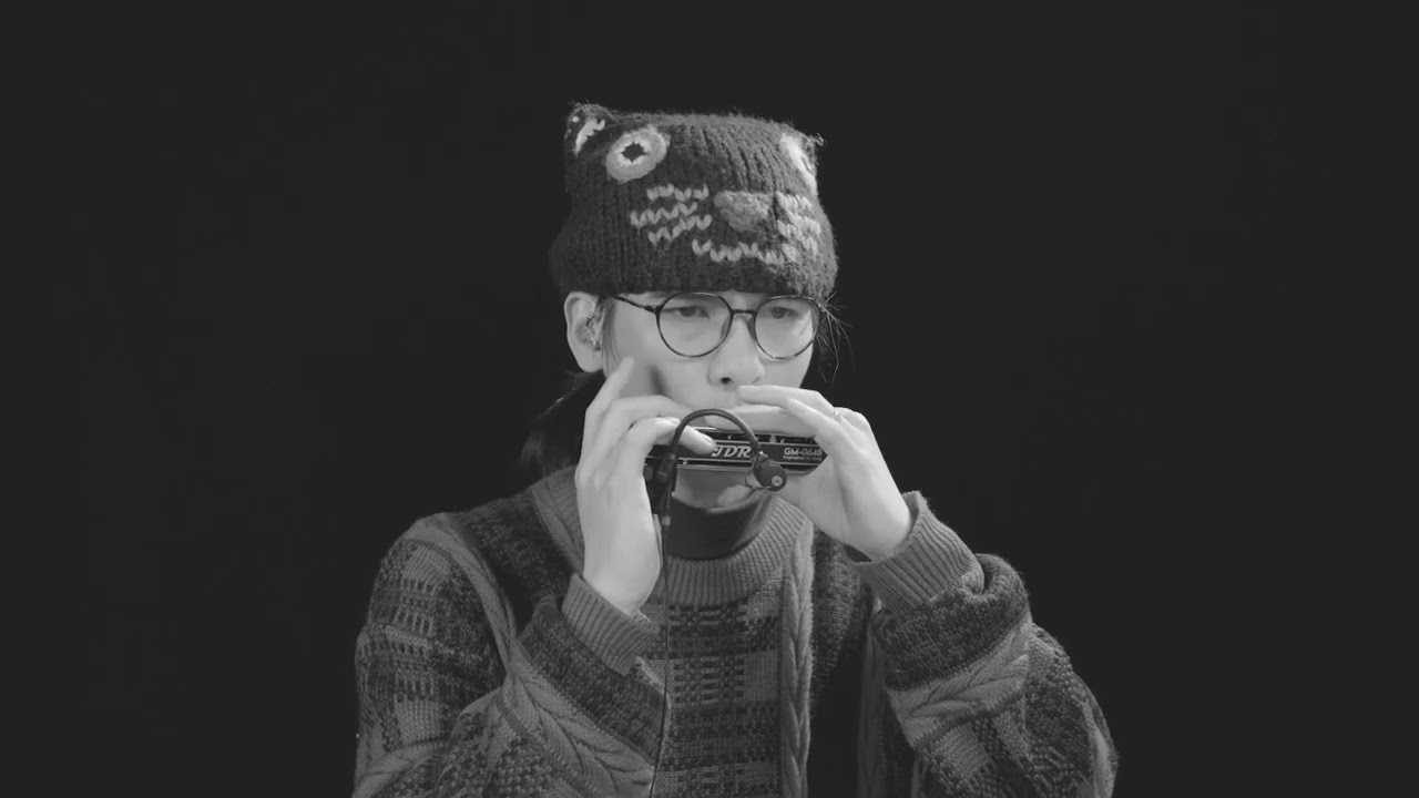 Keep Smilin JDR GM-0648 Chromatic Harmonica