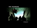 Hol Baumann - Human [HQ]