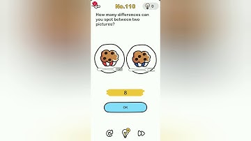 Brain Out Level 110 how many differences can you spot between two pictures?