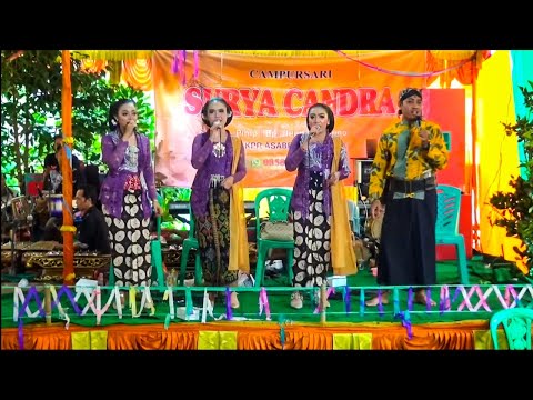 Cover Surya Candra Campursari - Pambuko - Kitty Sound - Njelok Sukowidi Panekan