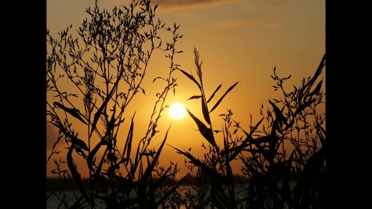 Panasonic Lumix DMC LZ40 20MP DSLR CameraDSLR Camera￼Effective Pixels20 MP￼Sensor TypeCCD￼Display