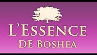 L'Essence De Boshea Hand Cream Review