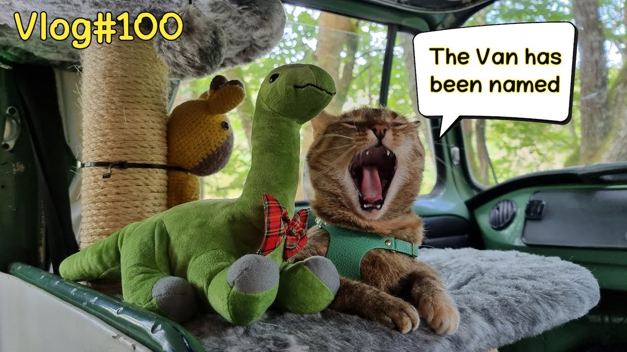 The NAME Of Our VAN Vlog 100 YouTube The NAME Of Our VAN Vlog 100 YouTube