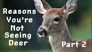 Famous Reason you’re not seeing deer! Profile