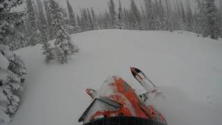 Buff Pass CO 1 13 18