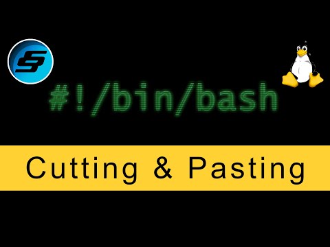 Cutting and Pasting - Bash Scripting