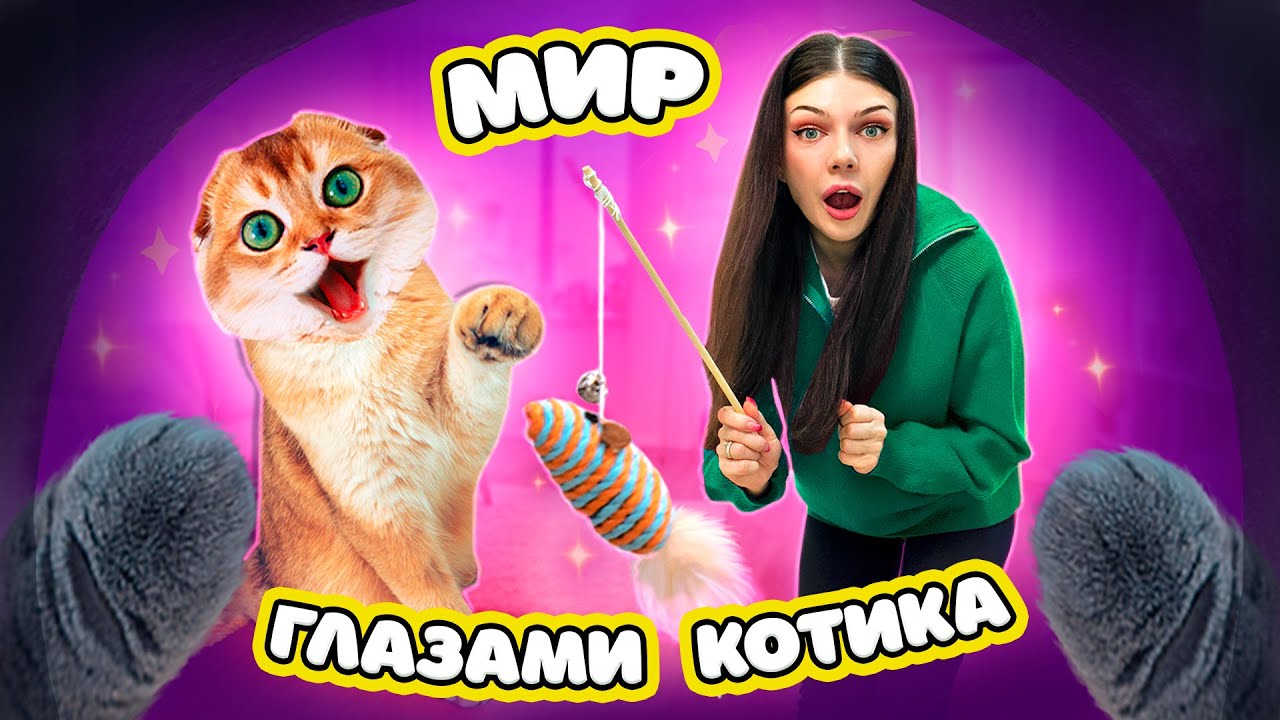 МИР ГЛАЗАМИ КОШЕЧКИ БАТТЕРС | 24 ЧАСА ГЛАЗАМИ КОТИКА