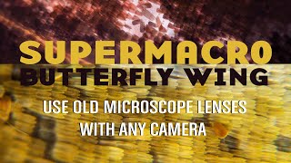 How to Use Microscope Lenses with Any Camera (Cheap, Portable, Budget Friendly Microscope Imaging)