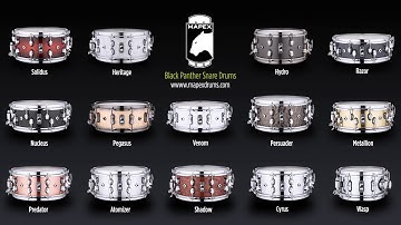 Black Panther 2020 Lineup Comparison Video