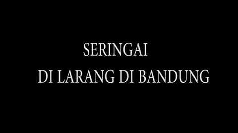 SERINGAI - DILARANG DIBANDUNG!!! (VIDEO LIRIK)