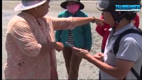 Cứu Cá Heo Mắc Cạn Rồi Thả Ra Biển Tại Vũng Tàu