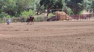 Paisley and SR ThisGirlCanFly 1d win Creston