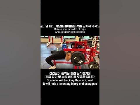 해머스트렝스 호리존탈 벤치프레스 Hammer Strength Horizontal Bench Press - Youtube