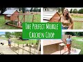 How to BUILD the PERFECT MOBILE CHICKEN COOP // DIY EASY to Use and Build BACKYARD Chicken Coop