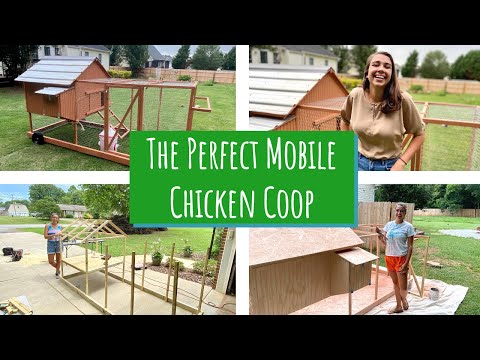 Video: Hvordan man opbygger et flytbart kyllingekup eller kylling traktor