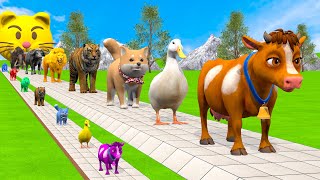 Long Slide Game With Cow Elephant Gorilla Hippopotamus Tiger - 3d Animal Game - Funny 3d Animals screenshot 4