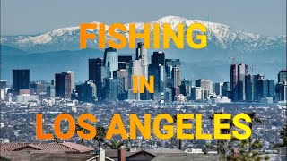 ELD Fishing EP.18- CATFISH IN LOS ANGELES 'Kenneth Hann Park LA'