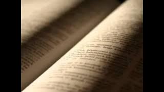 Raizes   Palavras que amparam