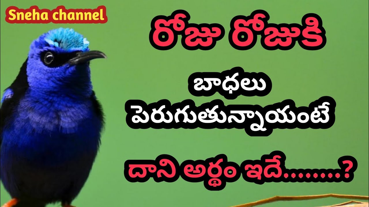 wonderful quotes#911#jivithasathyalu |Million dalar quotes |‌|Sneha channel