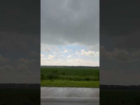Какая у Вас сегодня погода?☀️#ryndinschannel #варярындина #погода #дождь #пасмурно #день #вечер
