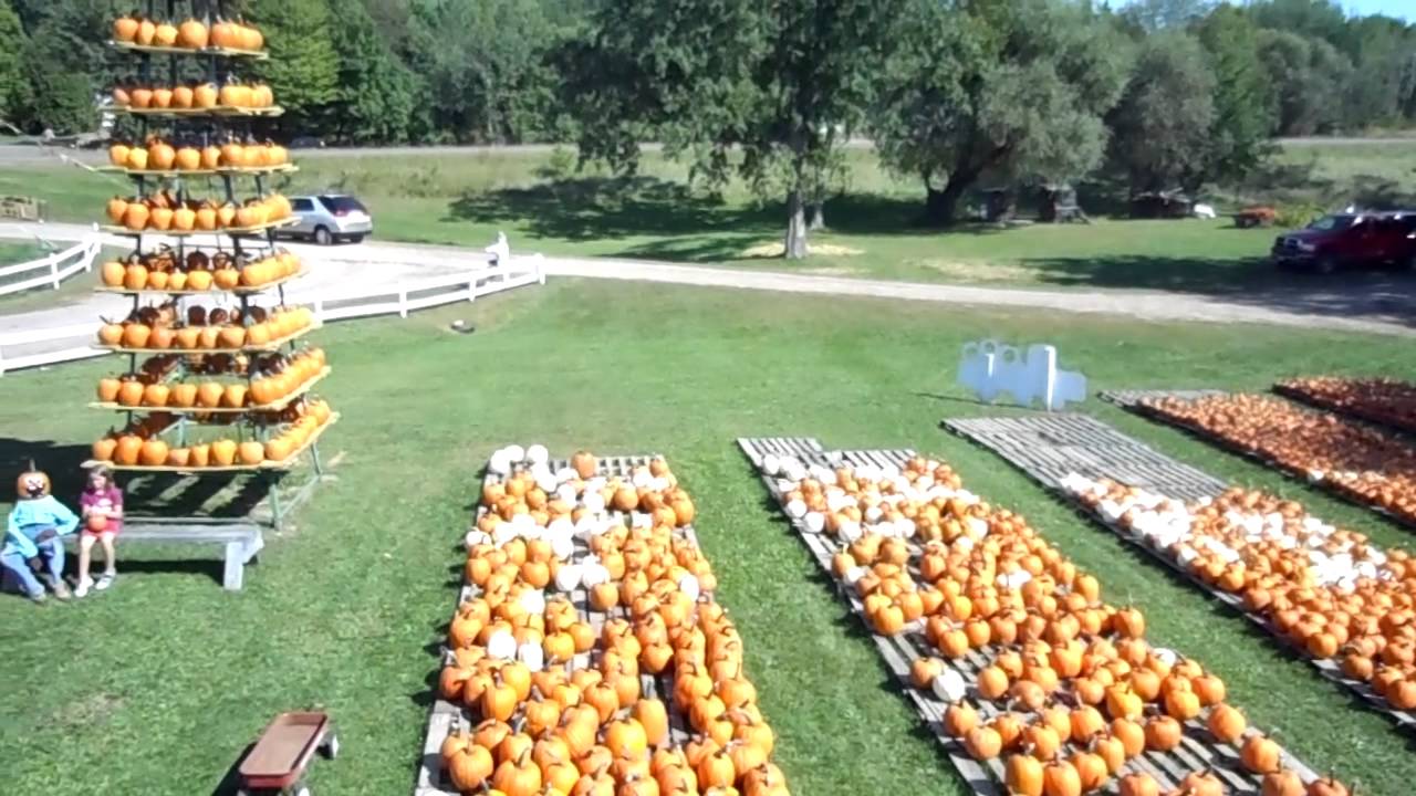 The Pumpkin Patch In Rice Lake Wisconsin YouTube