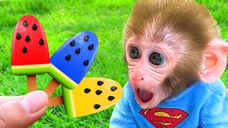 Macaco BonBon e a Descoberta Surpresa: O que ele encontrou? 🍌✨ - Bonbon Portugal
