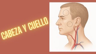APUNTES SEMIOLOGIA (CABEZA Y CUELLO)
