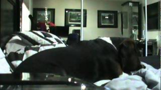 2012 Gaming Setup