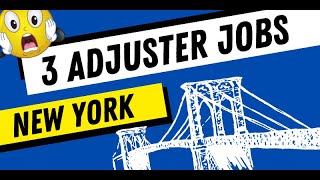 🚕 3 New York Claims Adjuster Jobs in less than 3 minutes
