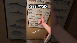 Learning 3 Begleri Tricks