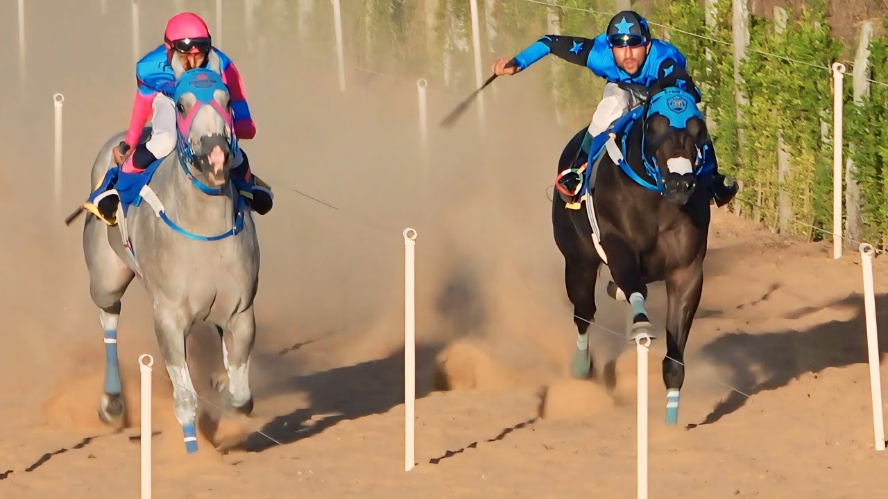 I GP HIPÓDROMO SÃO FRANCISCO - Rio de Janeiro - Corridas de Cavalos