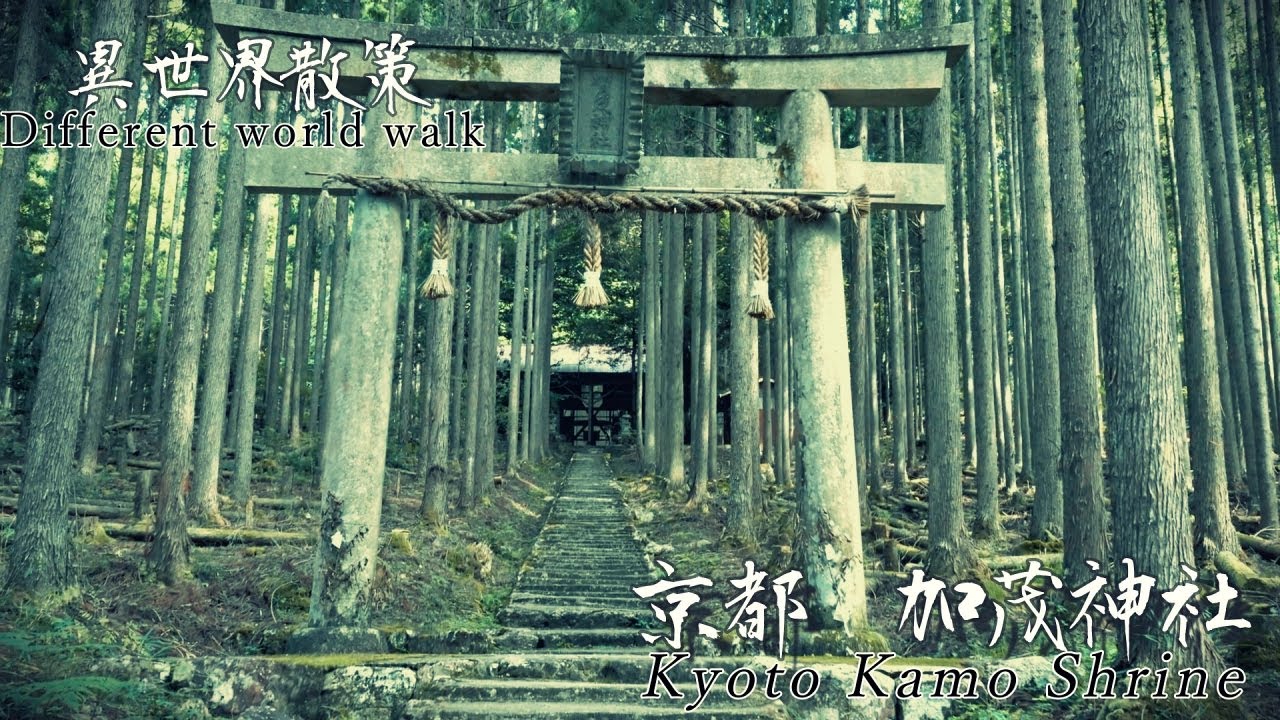 パワースポット　異世界散策『京都　加茂神社』Power Spot Walking in Another World 