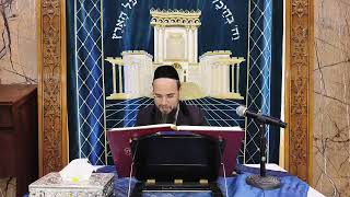 מו"ר הגאון הרב שקד בוהדנה שליט"א רמב"ם הלכות מאכלות אסורות פרק יד' הלכות יח'-יט' והקדמה לפרק ט"ו