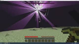 New Strategy to defeat the Ender Dragon fast [RSG/SSG,1.8+] [Status: Tech]