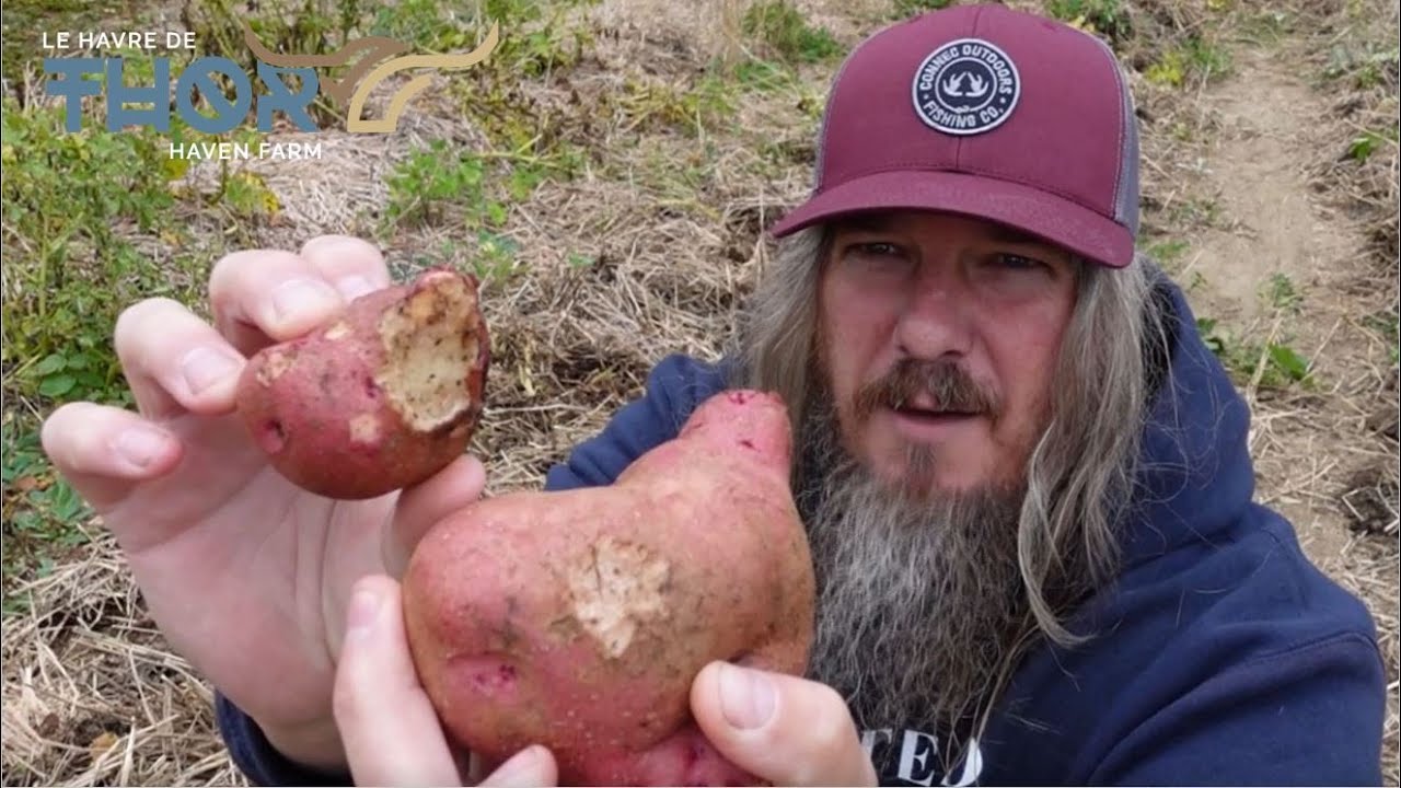 Ruth Stout Method Failed Us