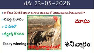 23 May 2026 today winning colours/Today winning colours /vision of kukkuta sastram in colours