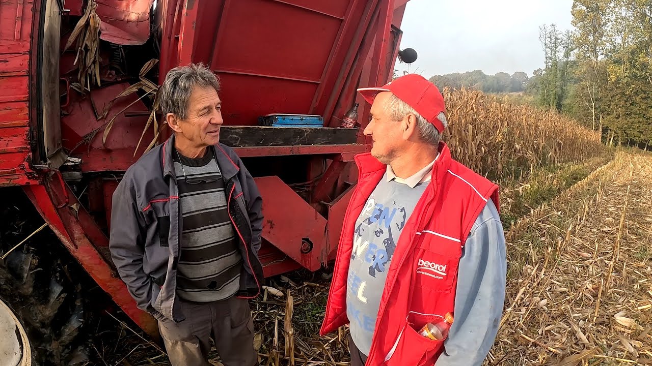 Branje kukuruza od ranog jutra! Branje kukuruza u Bisagu 2023-Bourgoin dp6