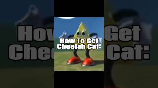 How To Get Cheetah Cat