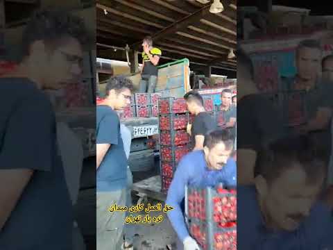 حق العمل کاری میدان تره بار تهران سیر پیاز گوجه سیب زمینی انبه خیار صادرات کاهو اناناس