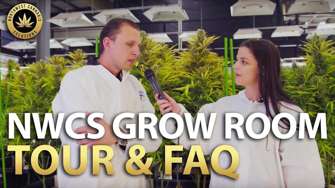 Grow Room Tour & FAQ - Northwest Cannabis Solutions