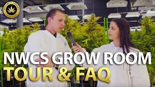 Grow Room Tour & FAQ - Northwest Cannabis Solutions