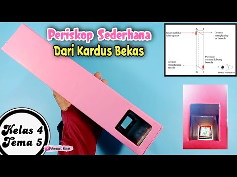 Video: Cara Memikat Perak (dengan Gambar)