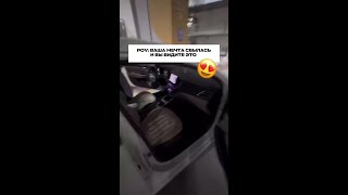 Представьте, что вы едете всего час от Петербурга по старому Гатчинскому тракту, сворачиваете в л...