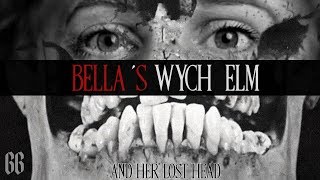 The MYSTERY of Bella \& the Wych Elm ➡ New Evidence!!