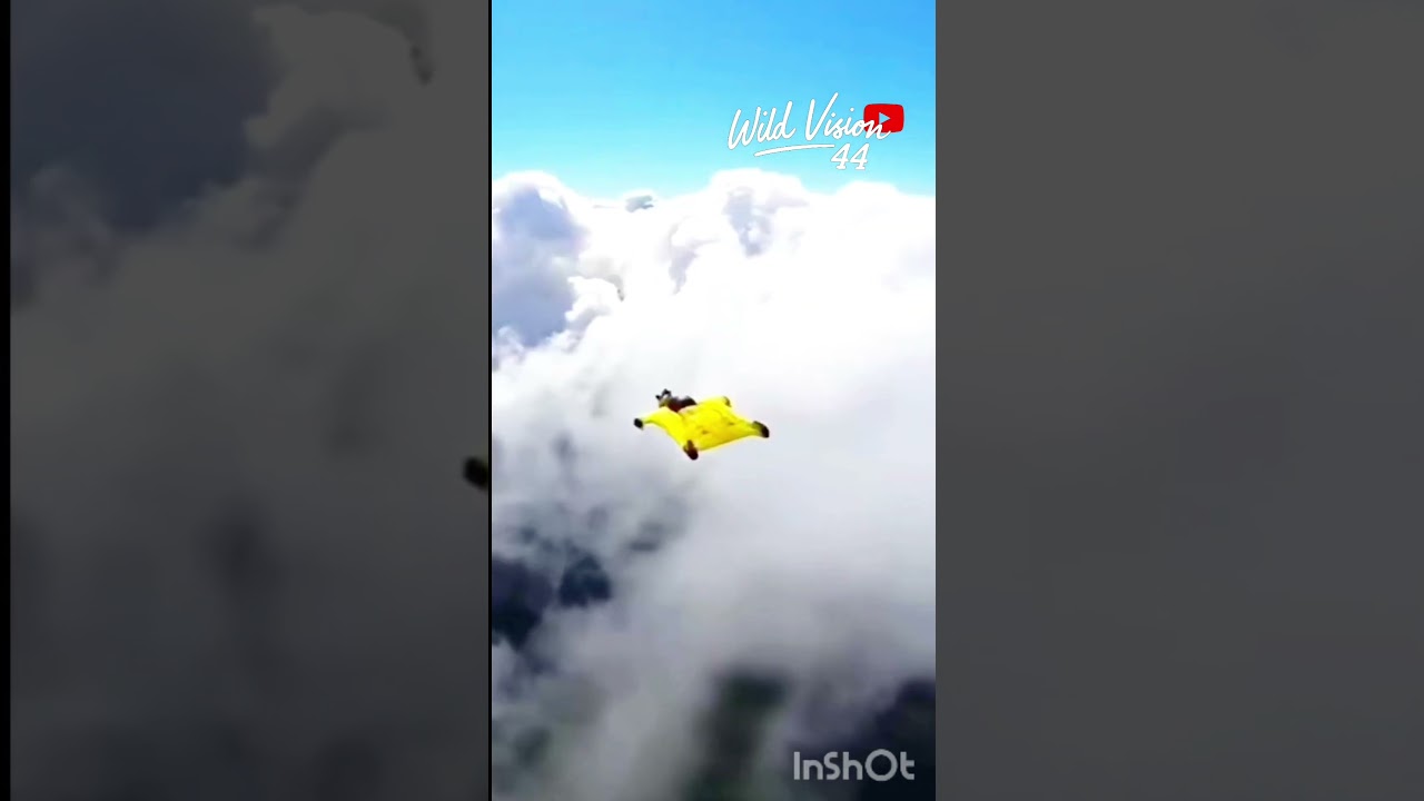 🪂 Wingsuit Flight – The Closest Thing to a Dream Wild Vision44