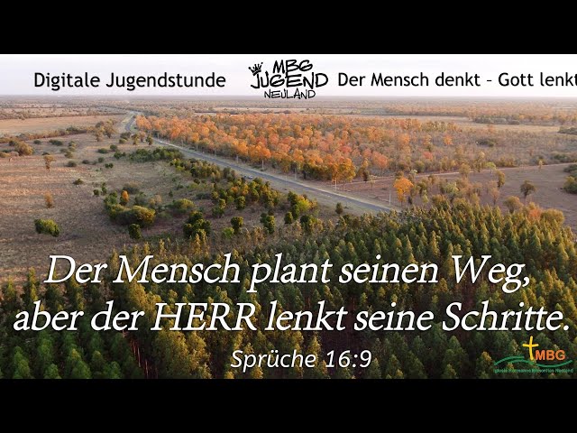 olivenbäume günstig Künstlicher Olivenbaum 180cm schnell günstig online kaufen main image 0