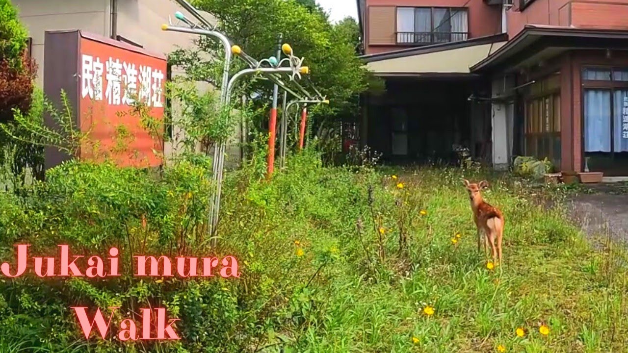 Shojinko mura Yamanashi walking tour. 【4K】2023